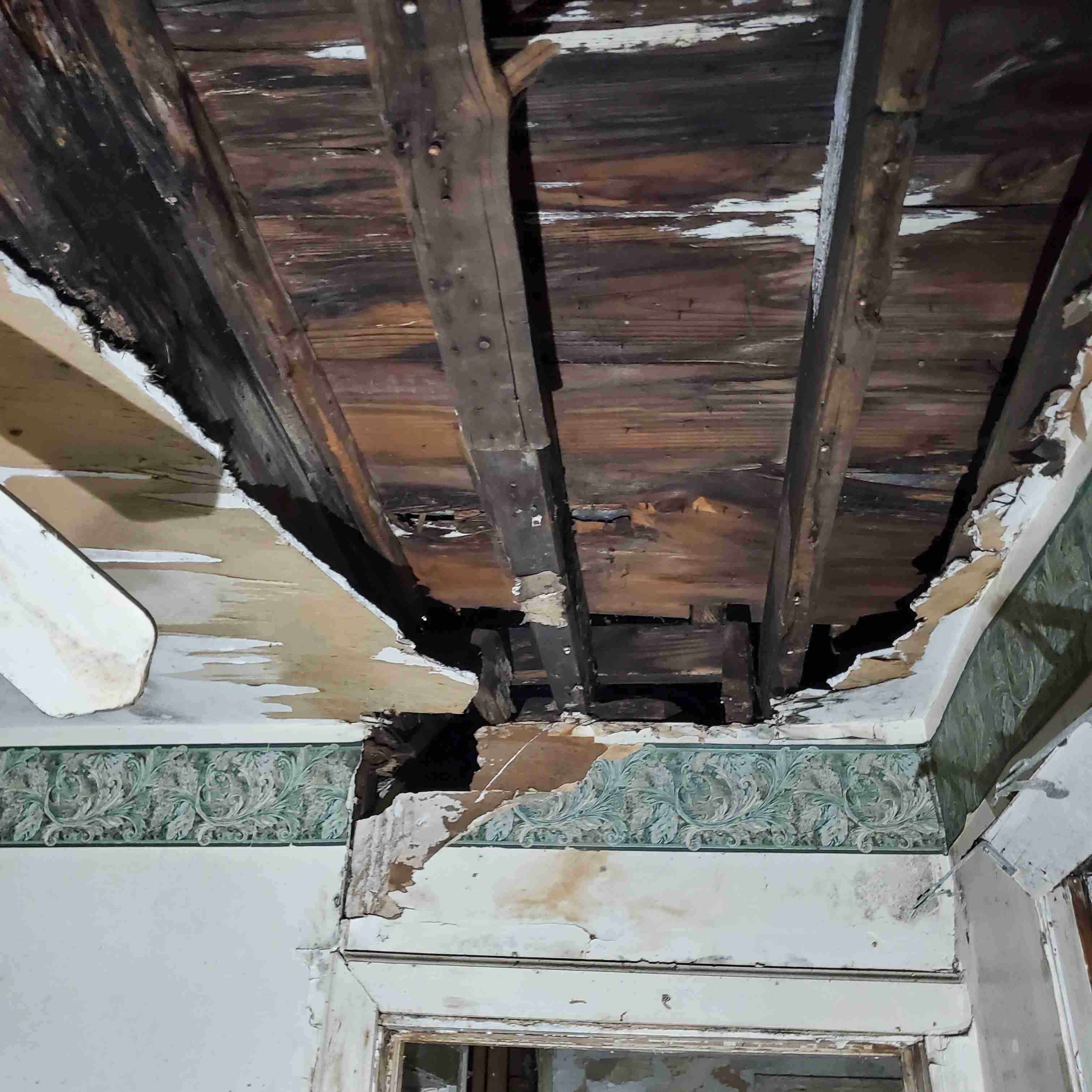 20200819_143014 (2).jpg